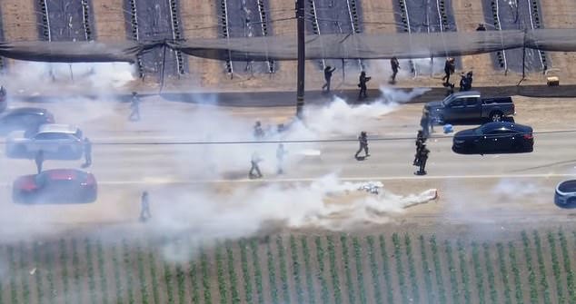 ICE Agents Raid California Cannabis Farm – Protesters Clash in Ventura County