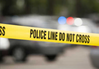 Tragic Pit Bull Attack Claims Life of 1-Year-Old Girl in Dover Township, Ohio
