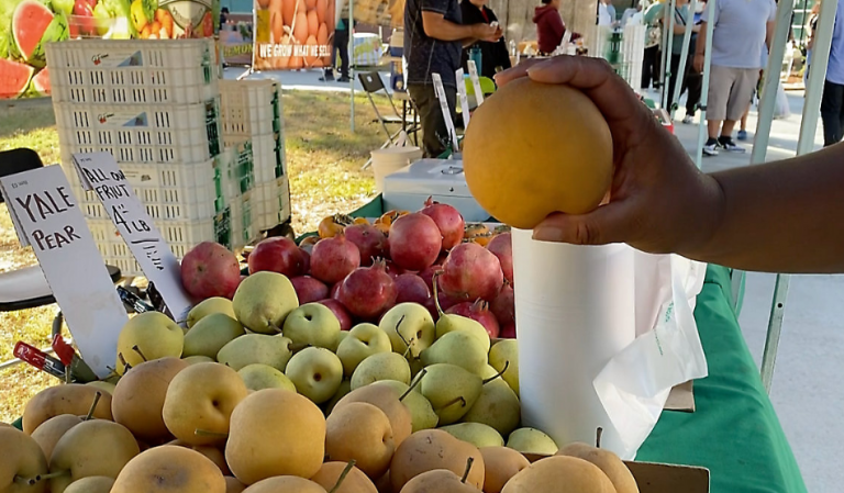 COTA BELIEVE Team Hosting Free Food Giveaway for Columbus Families