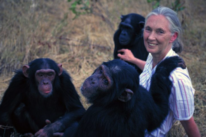 The Columbus Zoo joins the global community in mourning Dr. Jane Goodall, honoring her groundbreaking conservation work and lasting legacy.
