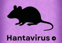 Early Signs of Hantavirus and How to Prevent Infection | WHO Warning Signs