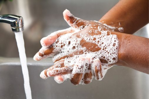 How to Prevent Hantavirus: Safety Tips to Reduce Infection Risk